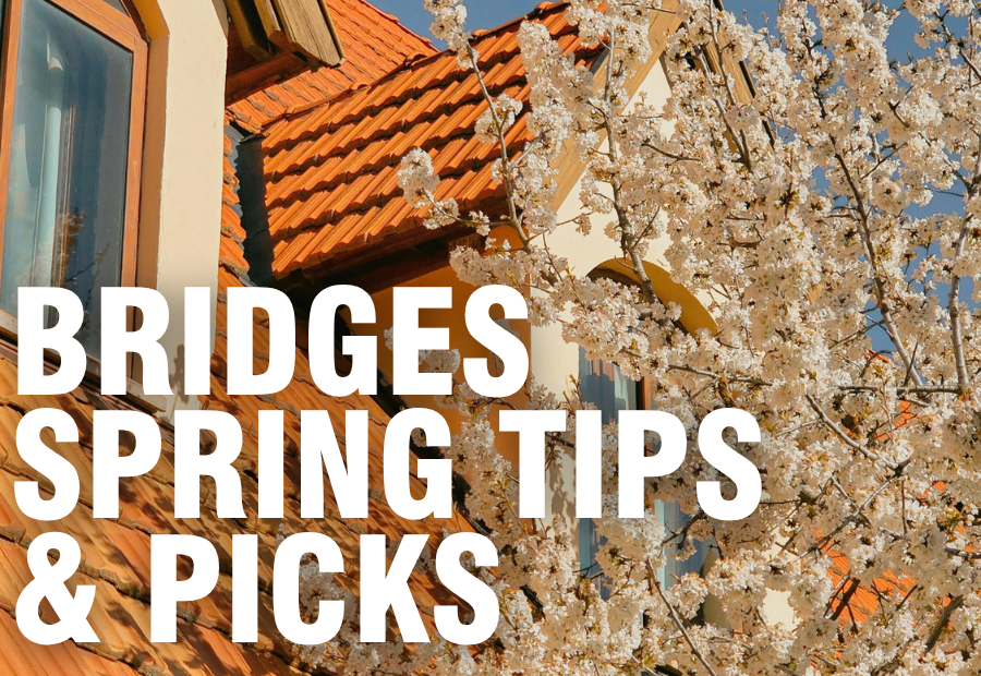 BRIDGES SPRING TIPS & PICKS