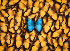 Comprehensive Warfield marketing