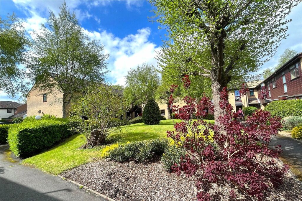 Property Image_9