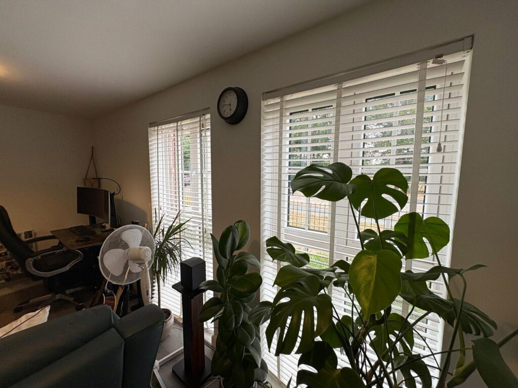 Property Image_8