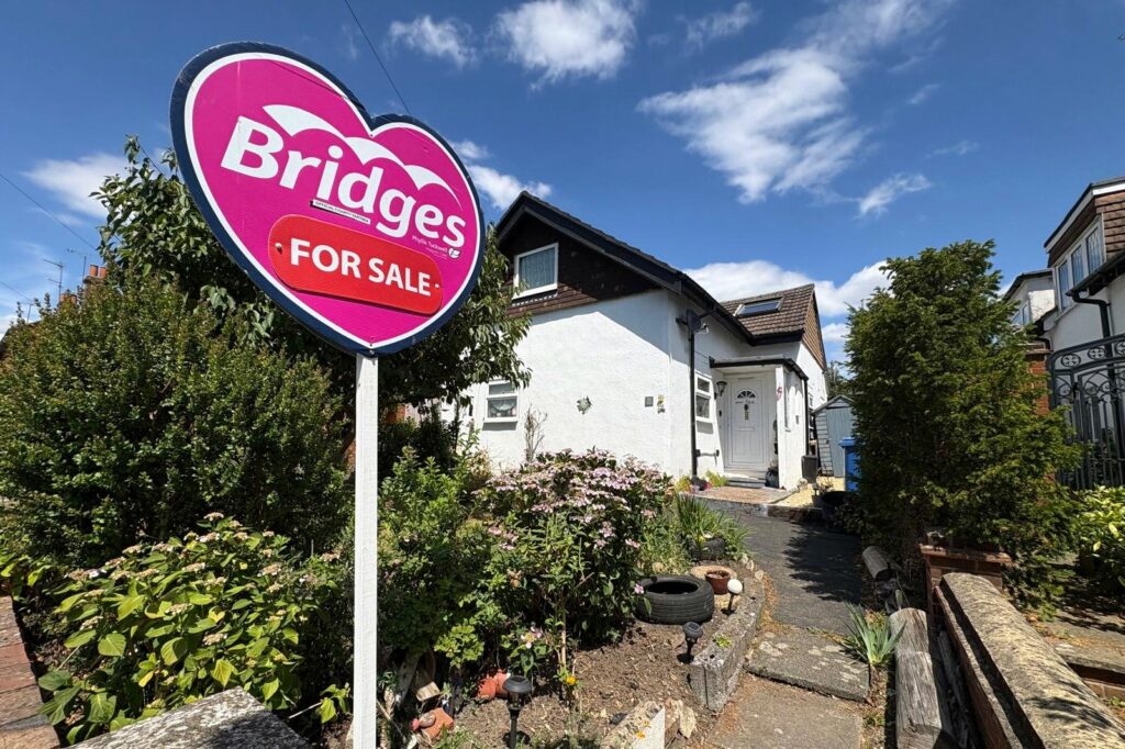 Property Image_11