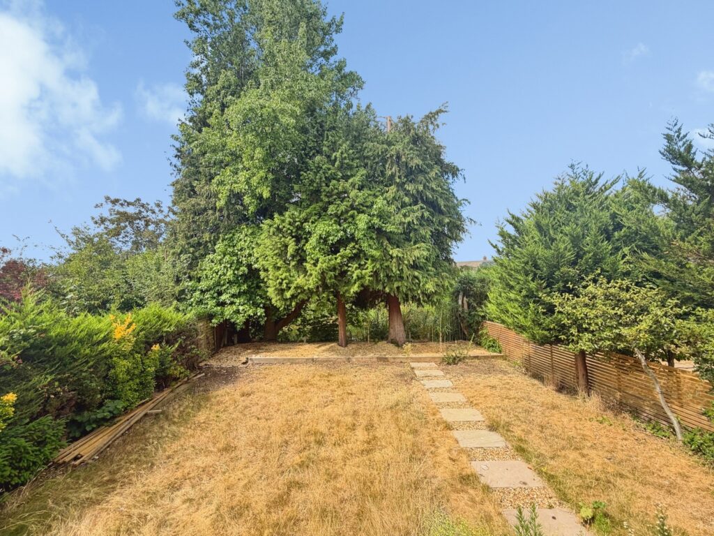 Property Image_8