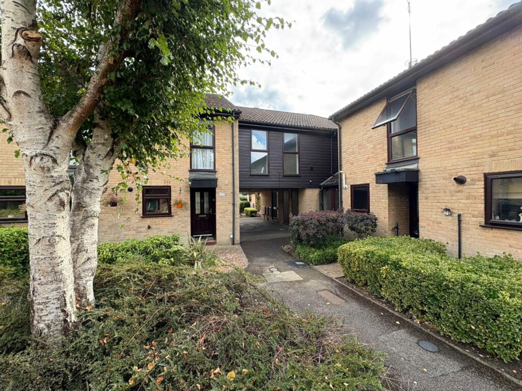 Property Image_11