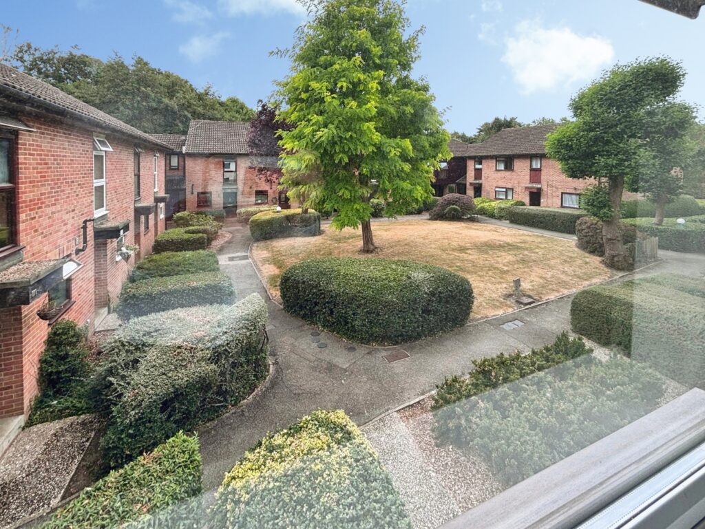 Property Image_15