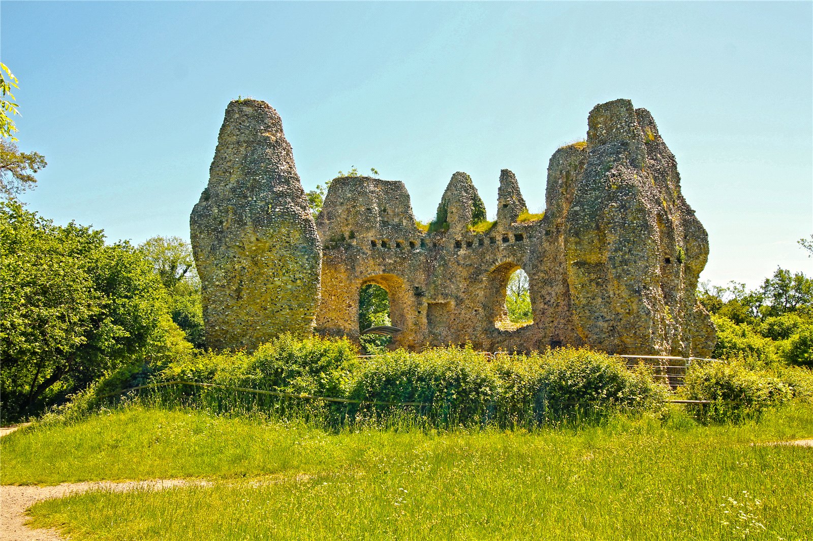BAL250036_09.jpg
