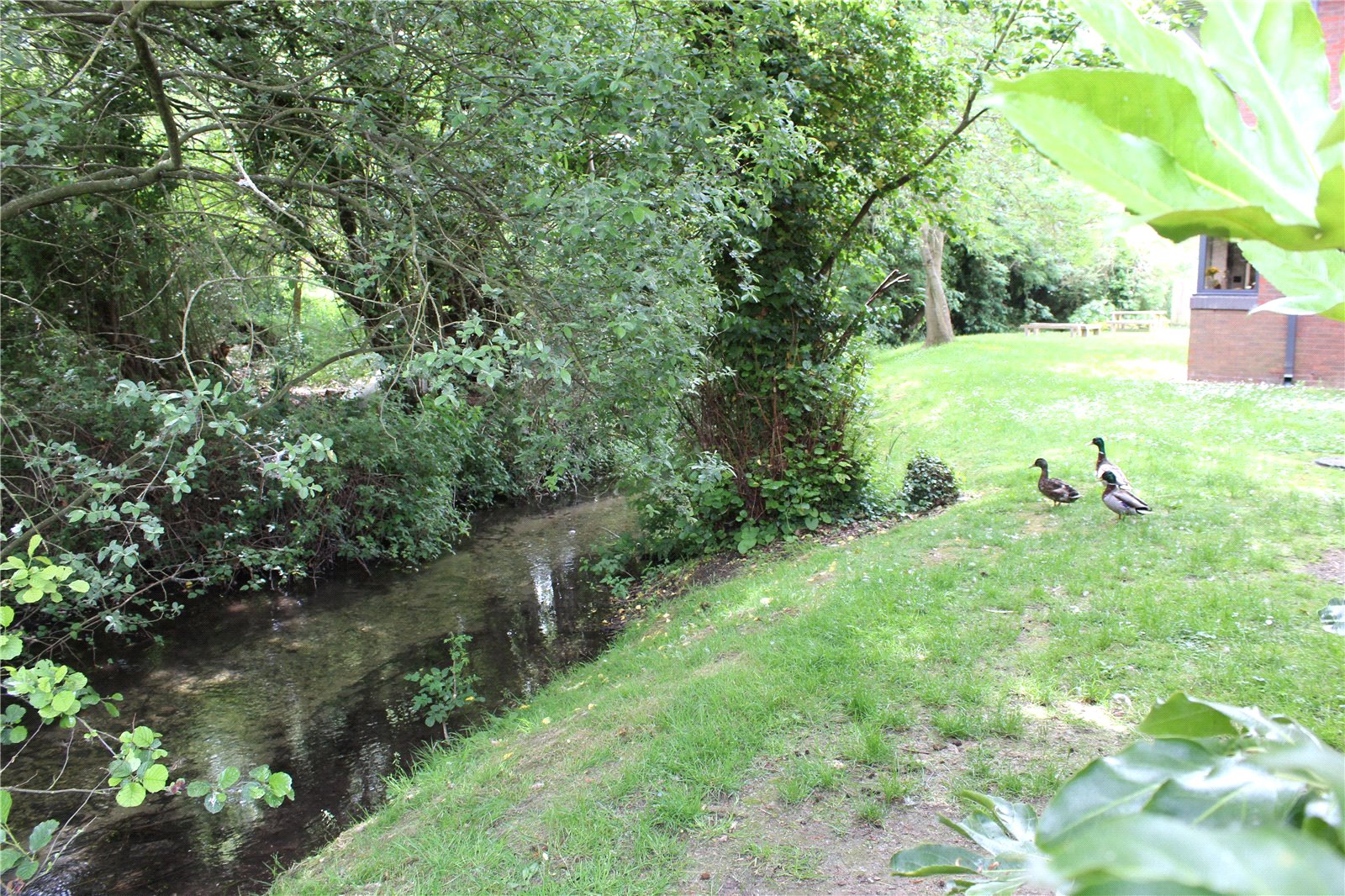 BAL250099_03.jpg