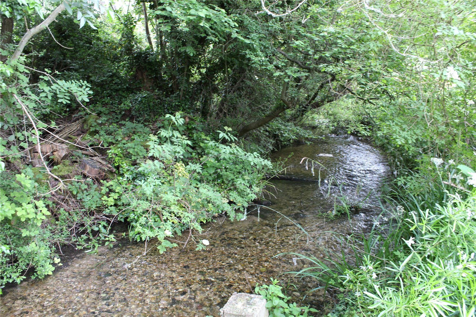 BAL250099_18.jpg