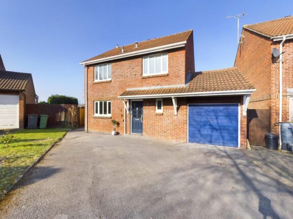 Van Dyck Close Image