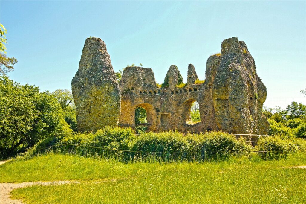 Property Image_6