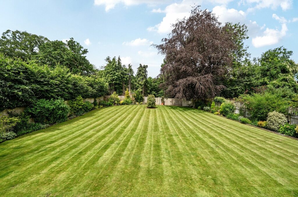 Property Image_2