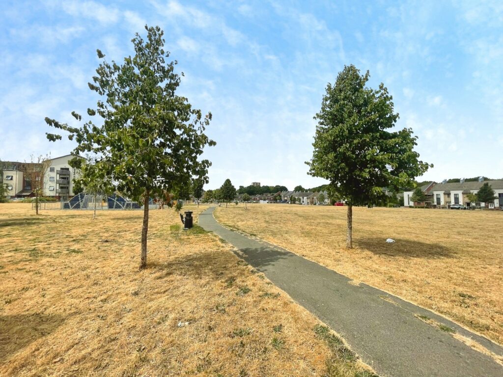 Property Image_3
