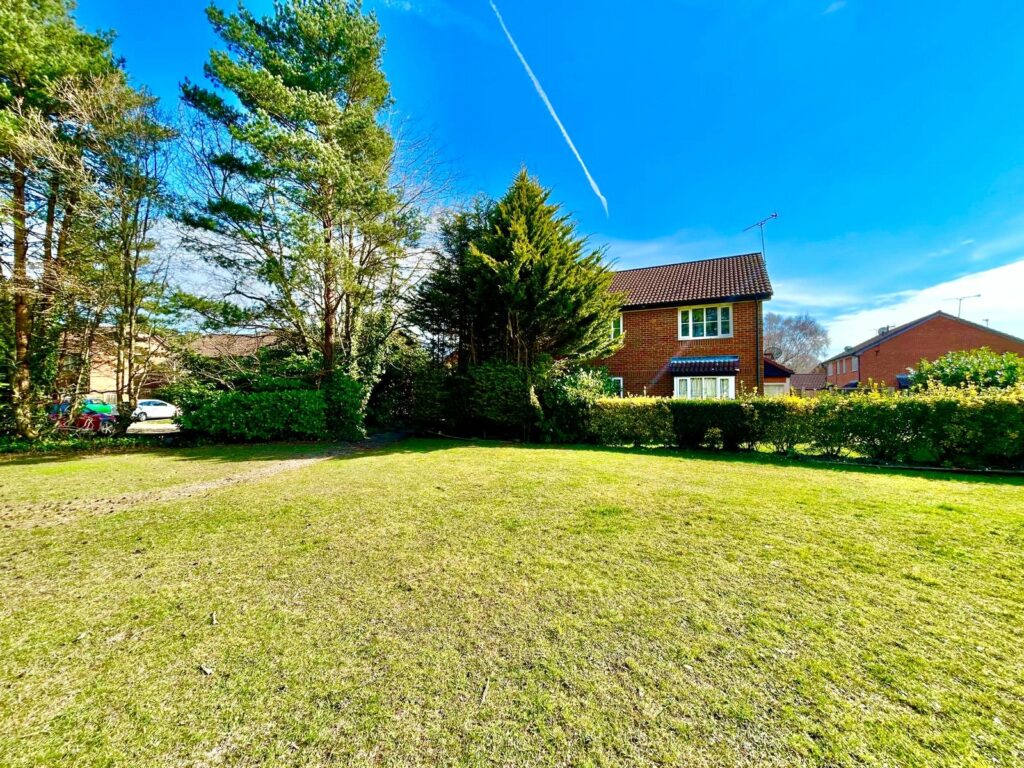 Property Image_8