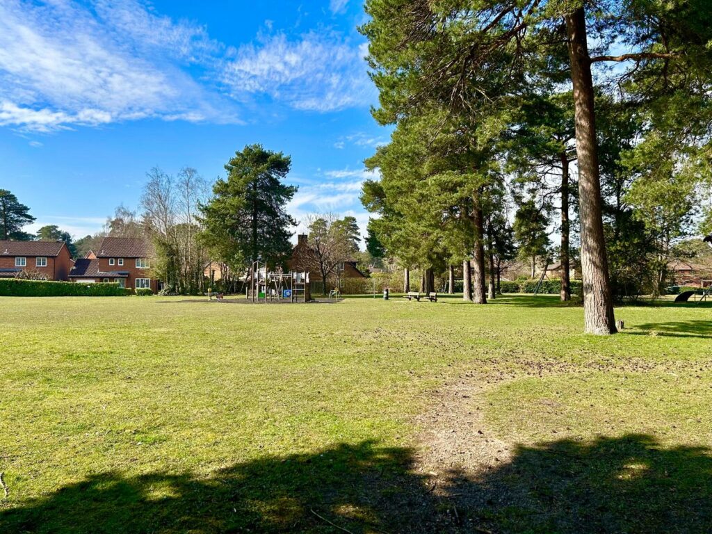 Property Image_9