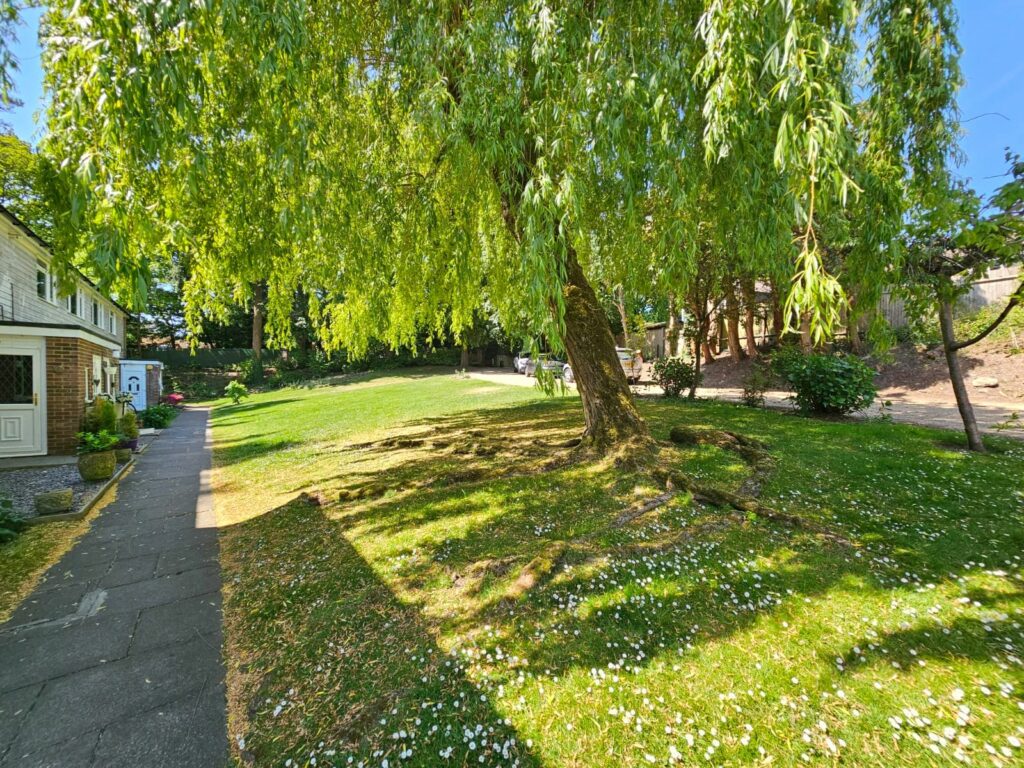 Property Image_9