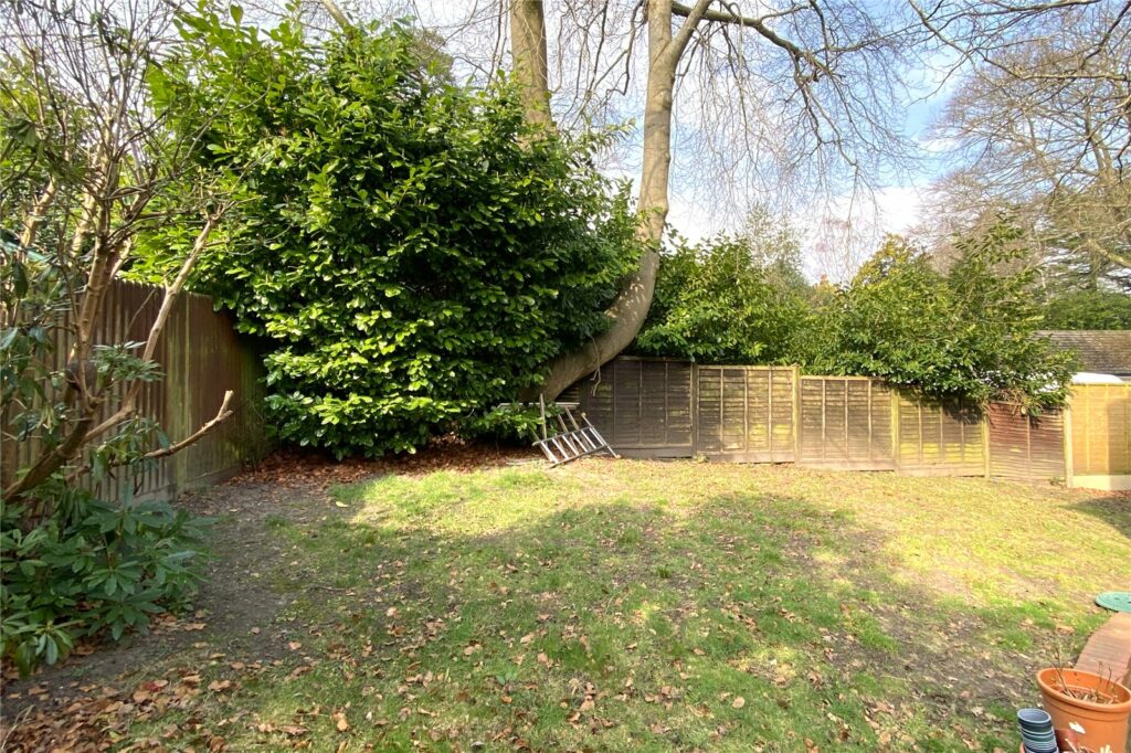 Property Image_16