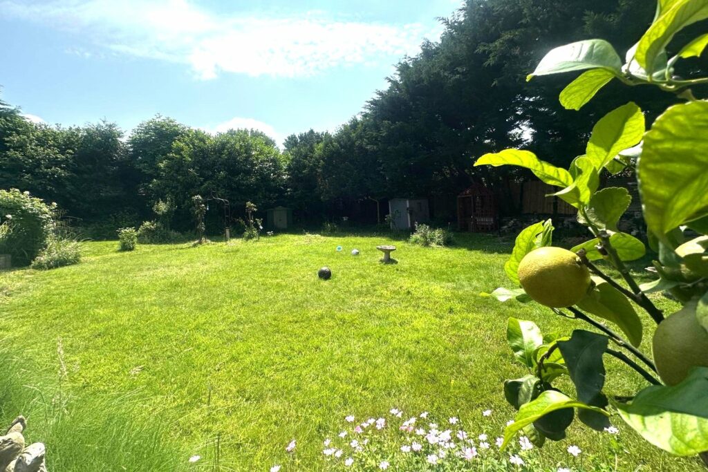 Property Image_12