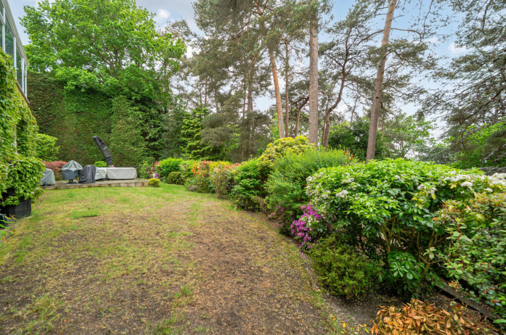 Property Image_23