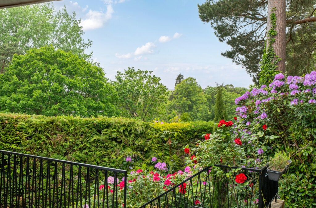 Property Image_25
