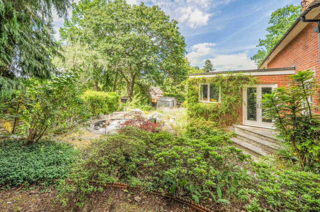 Property Image_14