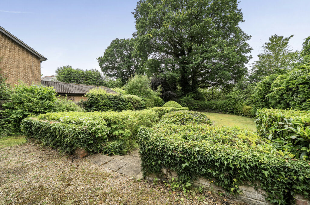 Property Image_16