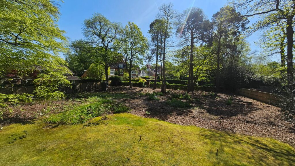 Property Image_18