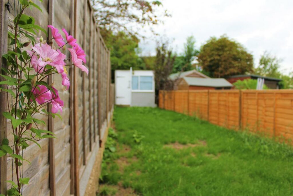 Property Image_11