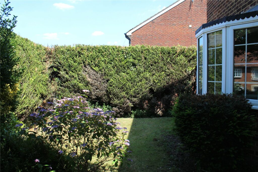 Property Image_16