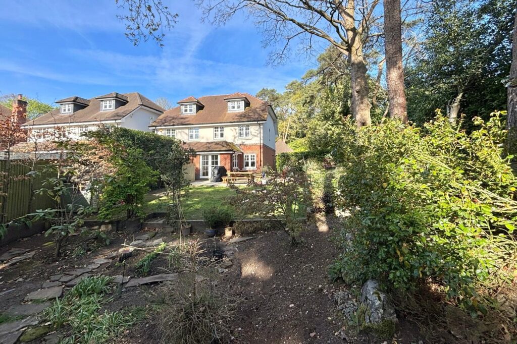 Property Image_15