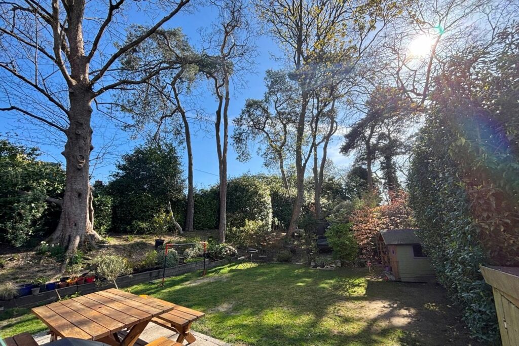 Property Image_6