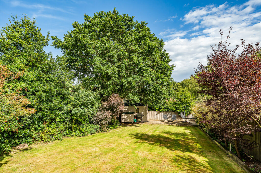 Property Image_14