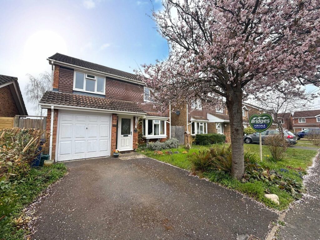 Property Image_1