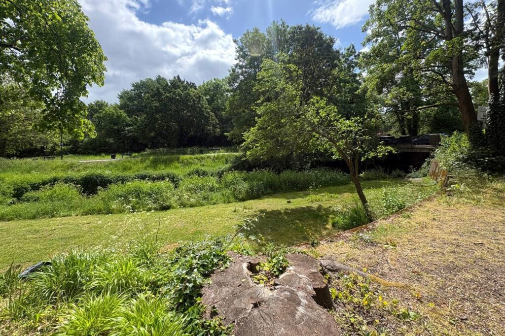 Property Image_8