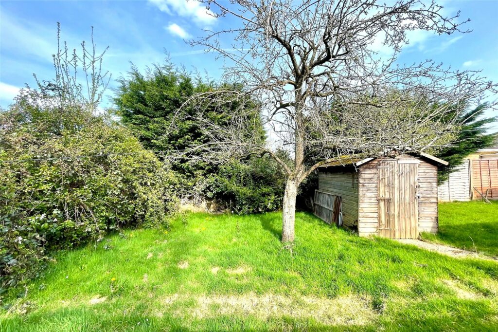 Property Image_17