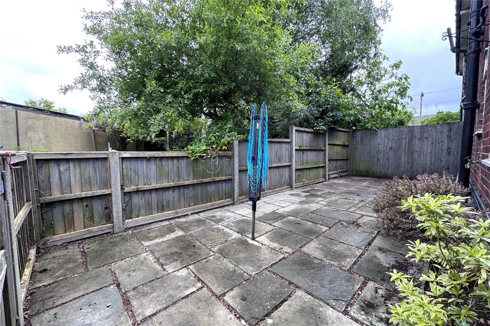 Back Garden
