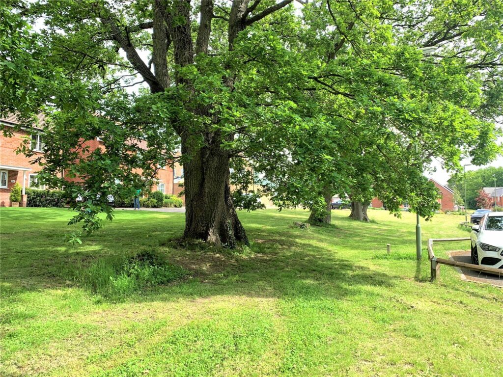 Property Image_14