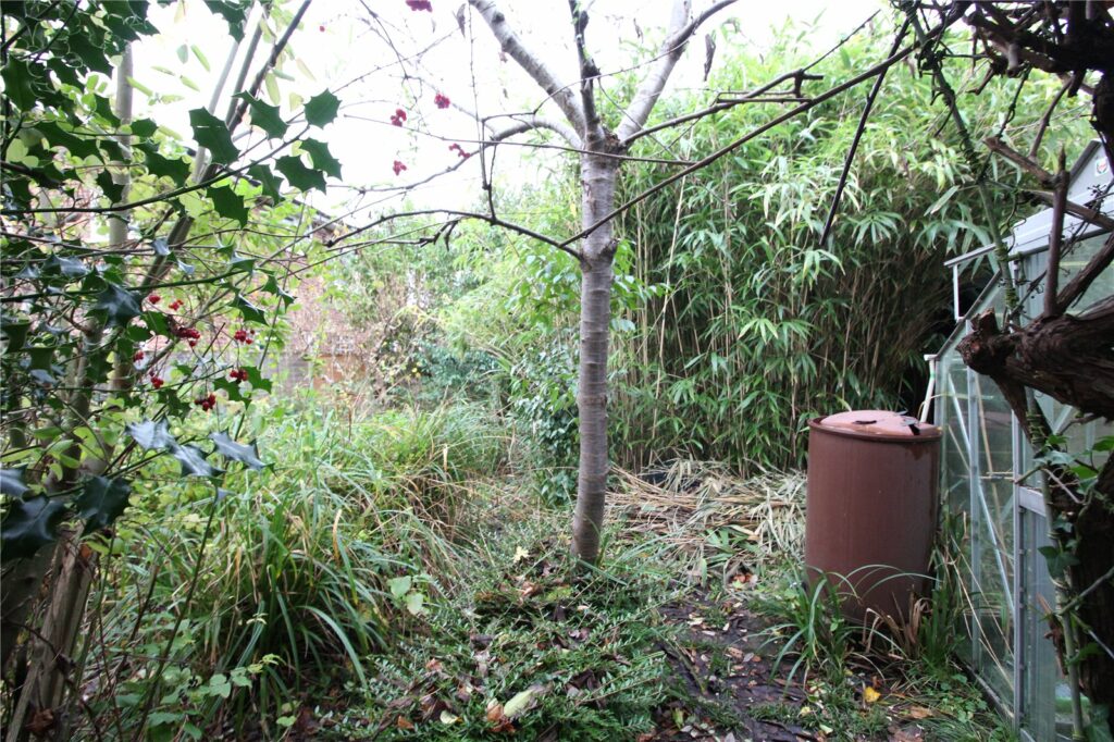 Property Image_12