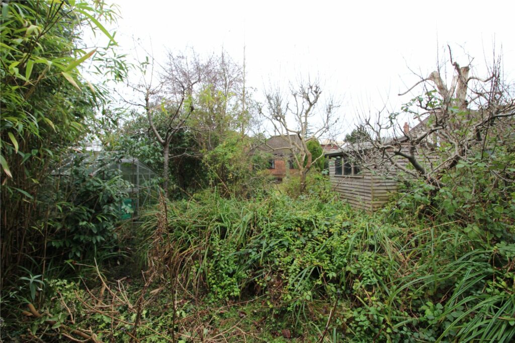 Property Image_11