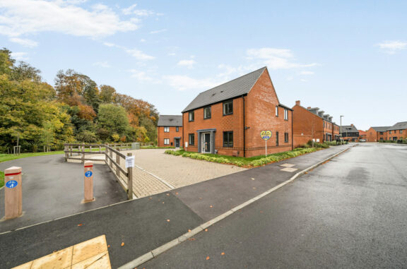 Treetop Avenue Image