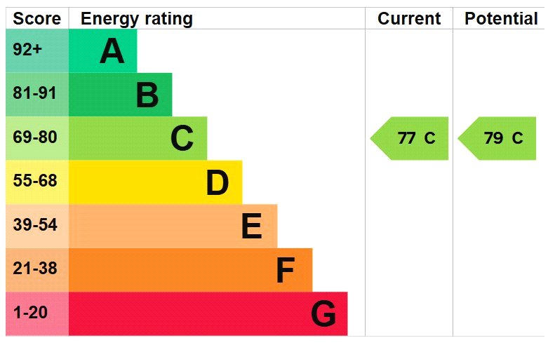 FLE260036_11.jpg