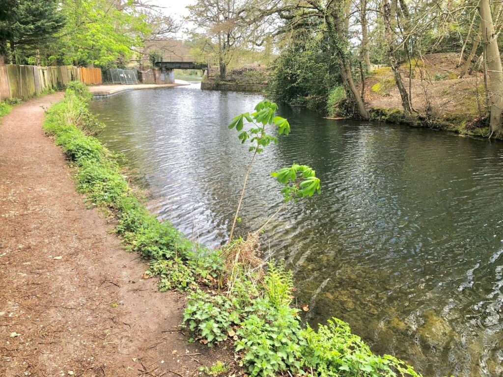 Property Image_21