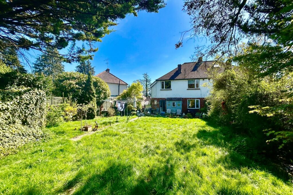Property Image_15