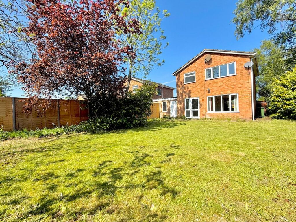 Property Image_19