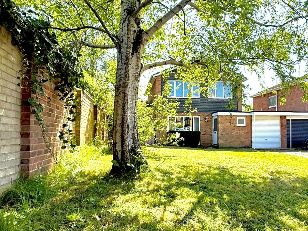 Property Image_1