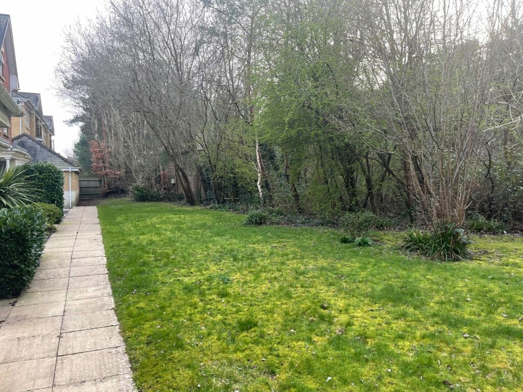 Property Image_22
