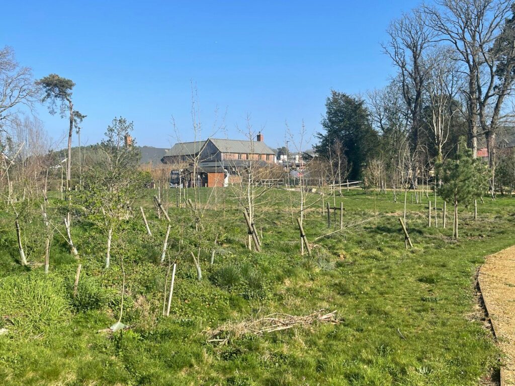 Property Image_16