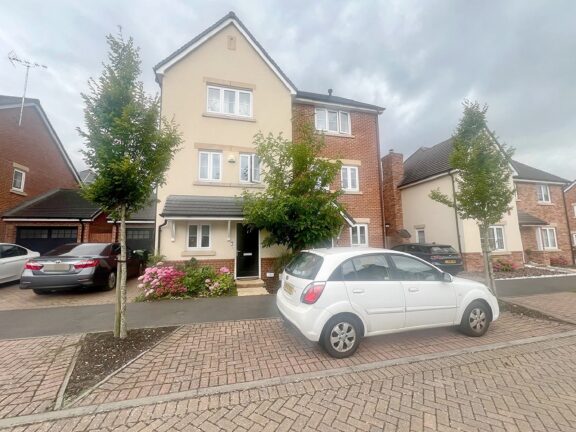 Warbler Road Image