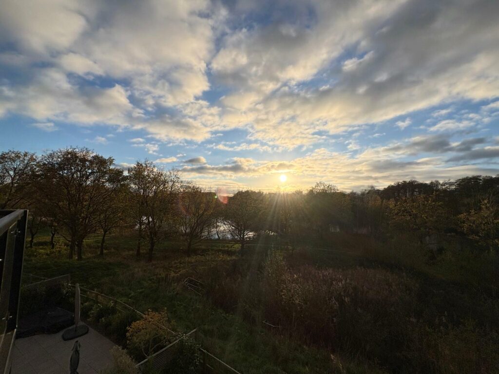 Property Image_24