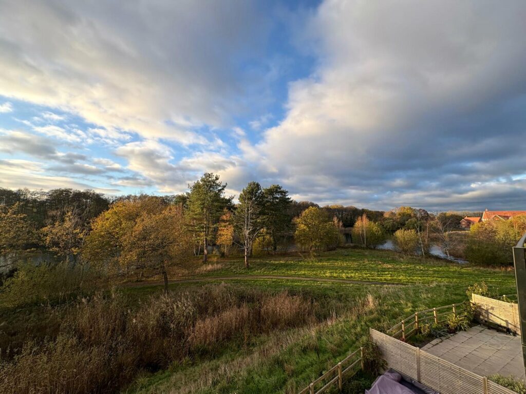Property Image_36