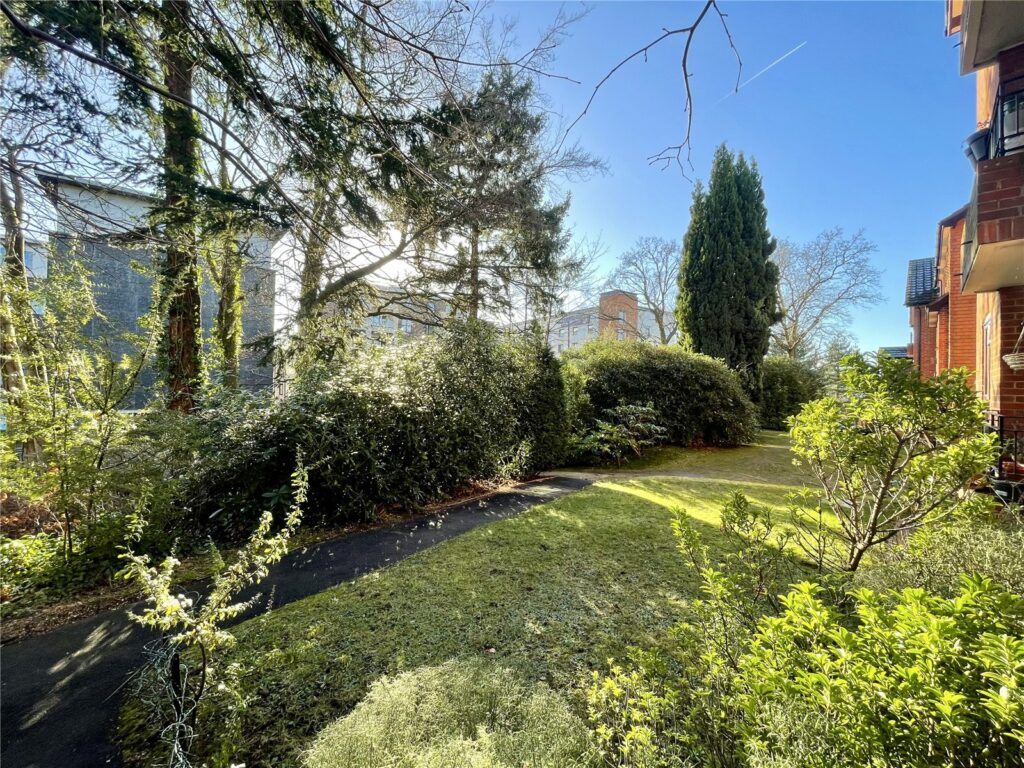 Property Image_11