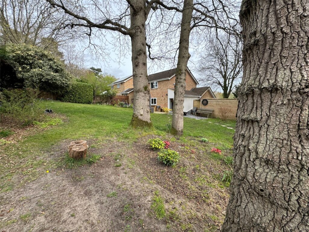 Property Image_16
